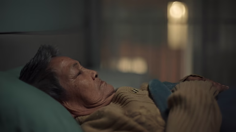 steptodown.com161437