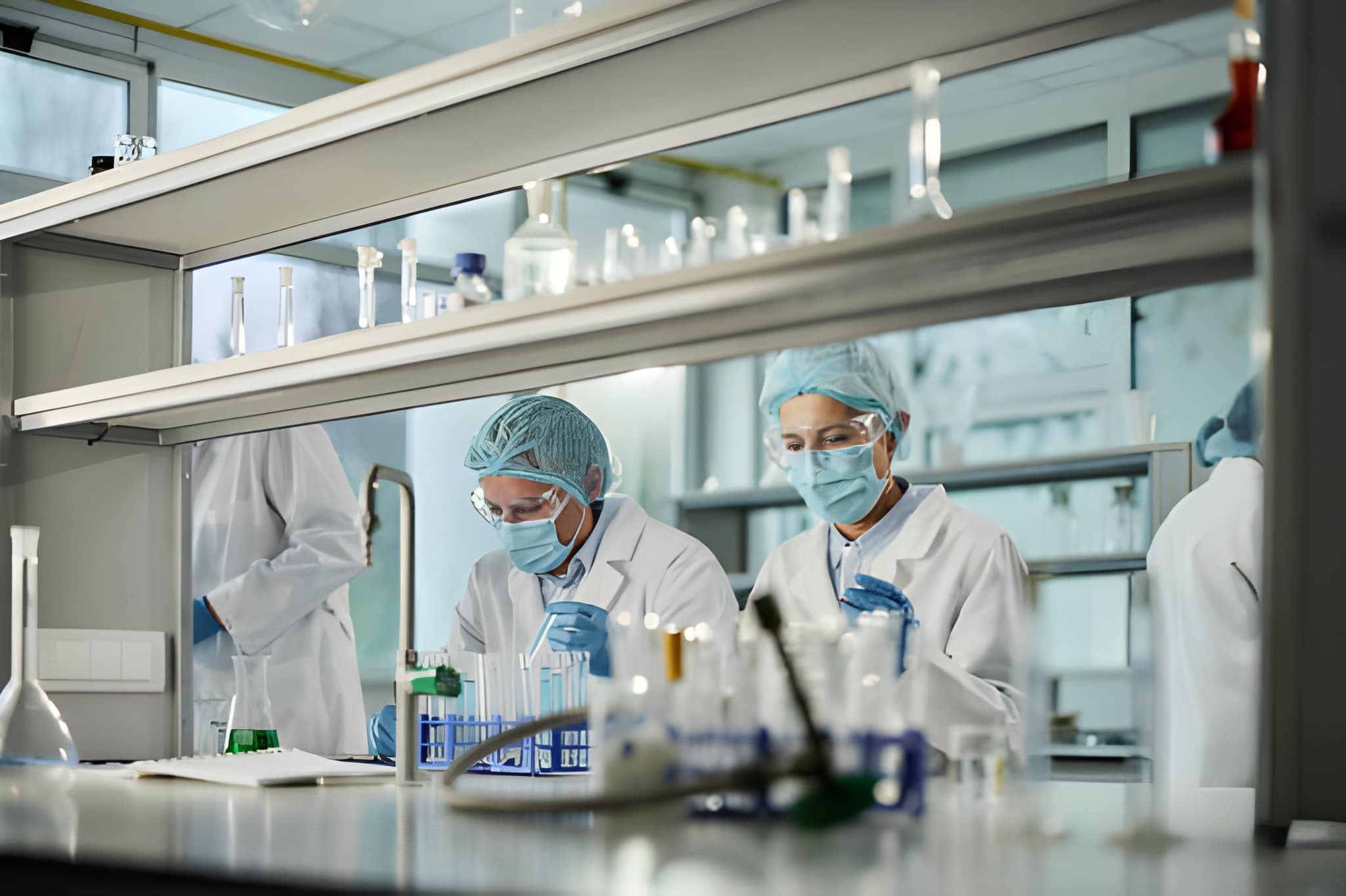 steptodown.com637546