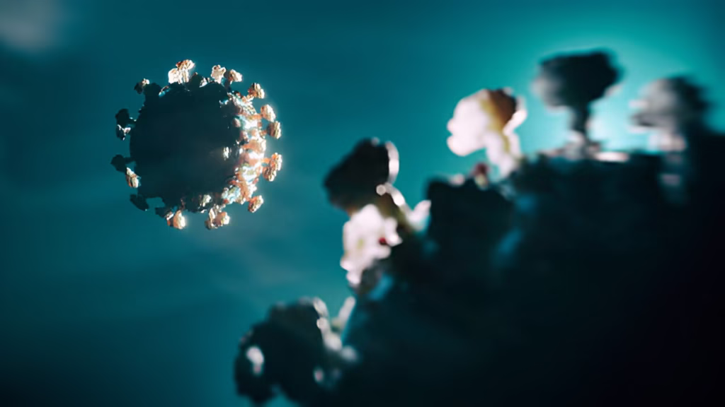 steptodown.com804179